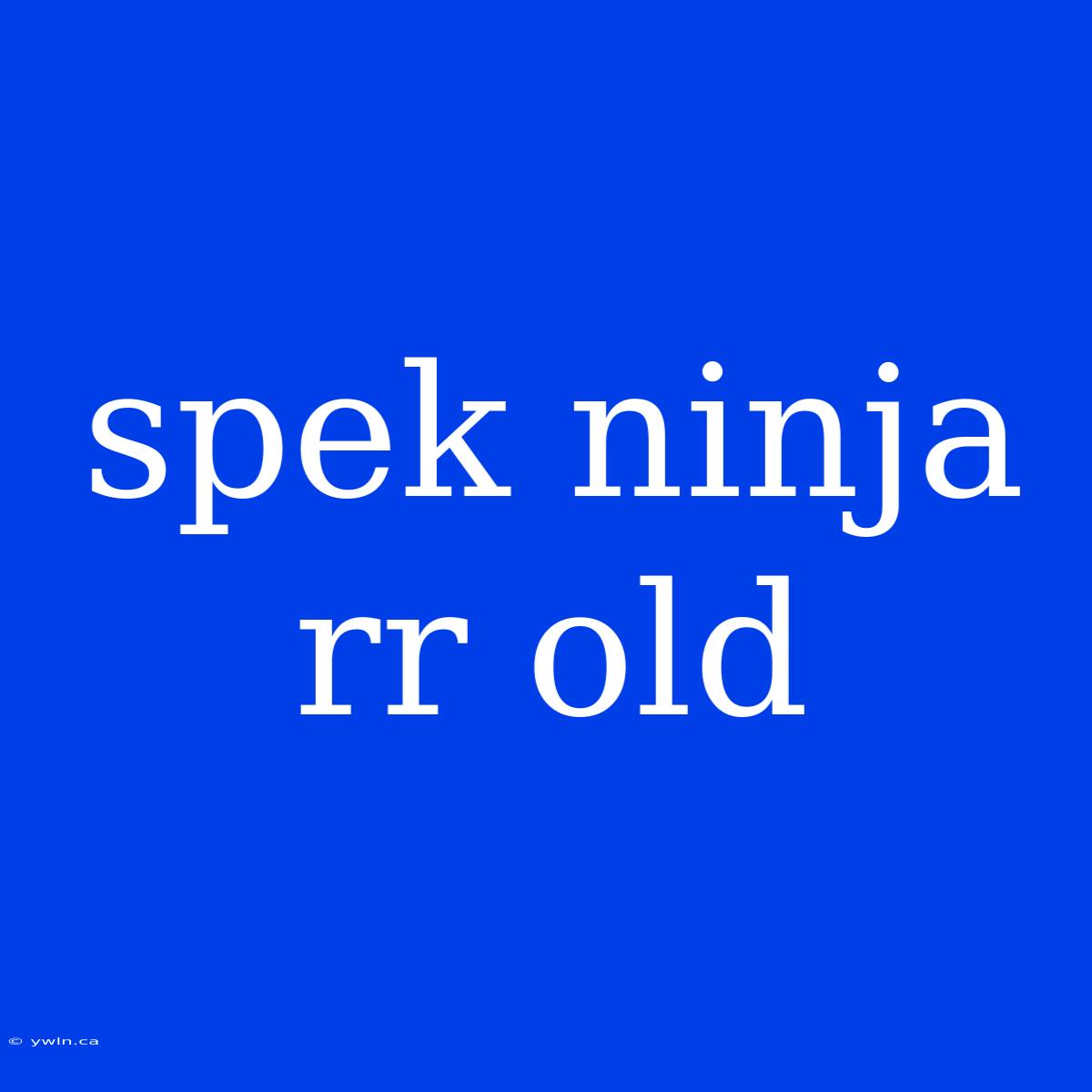 Spek Ninja Rr Old