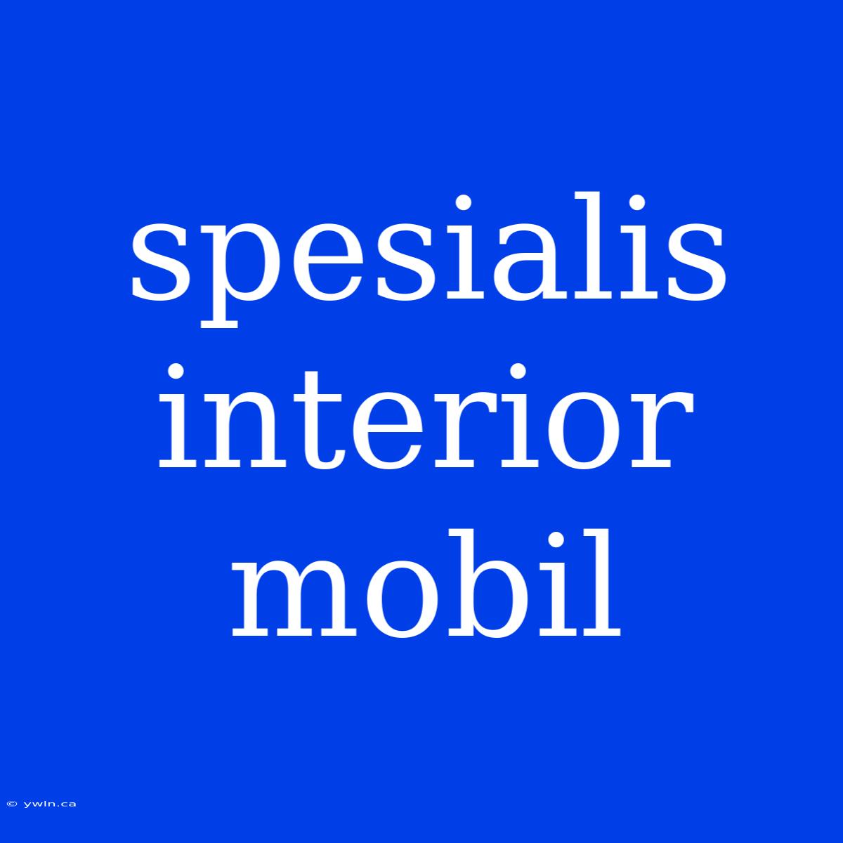 Spesialis Interior Mobil