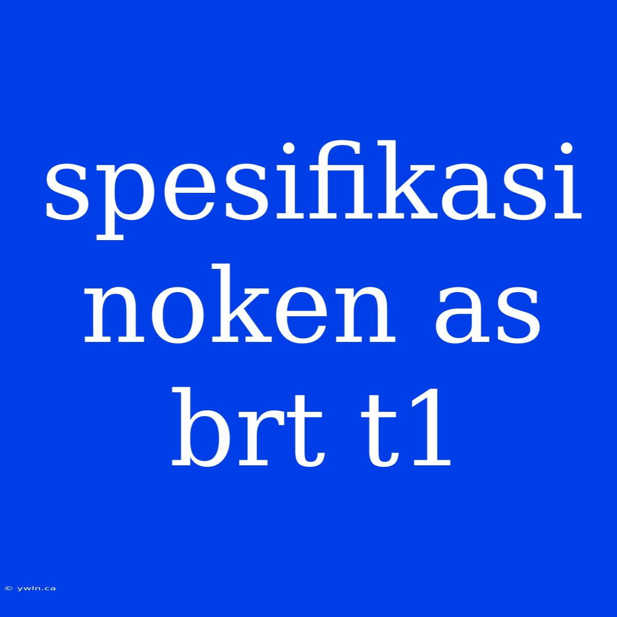 Spesifikasi Noken As Brt T1