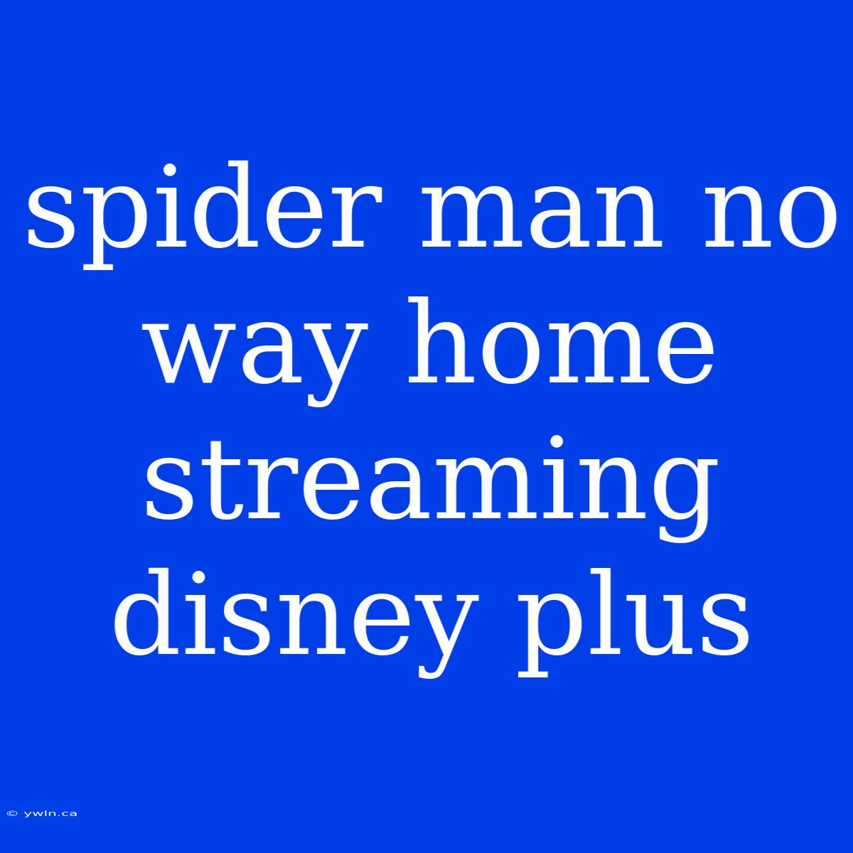 Spider Man No Way Home Streaming Disney Plus