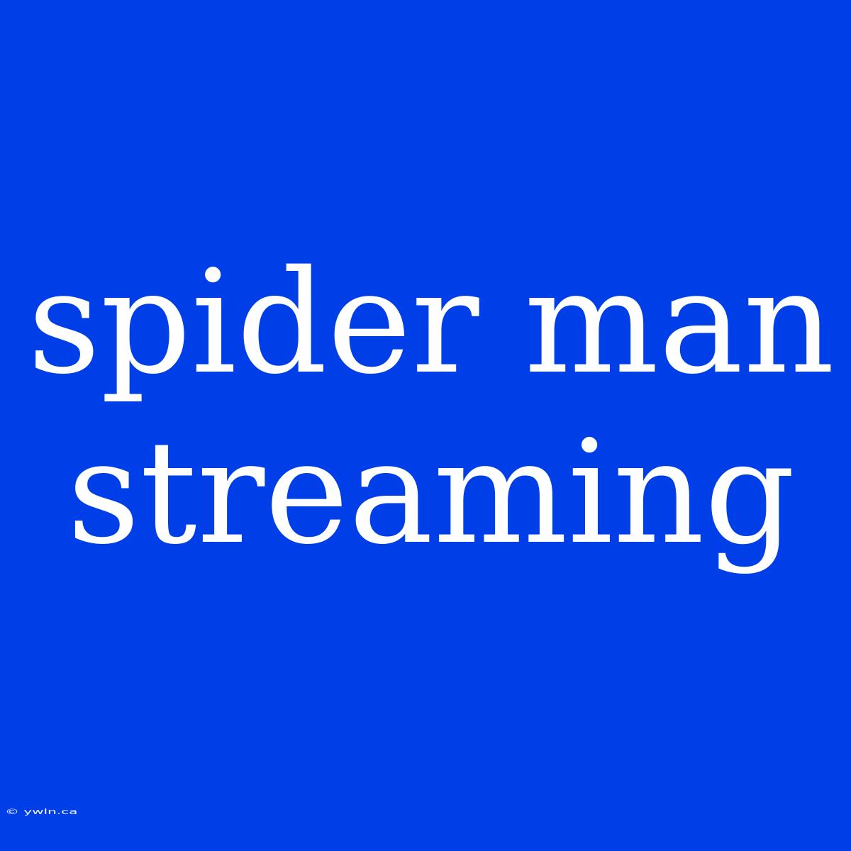 Spider Man Streaming