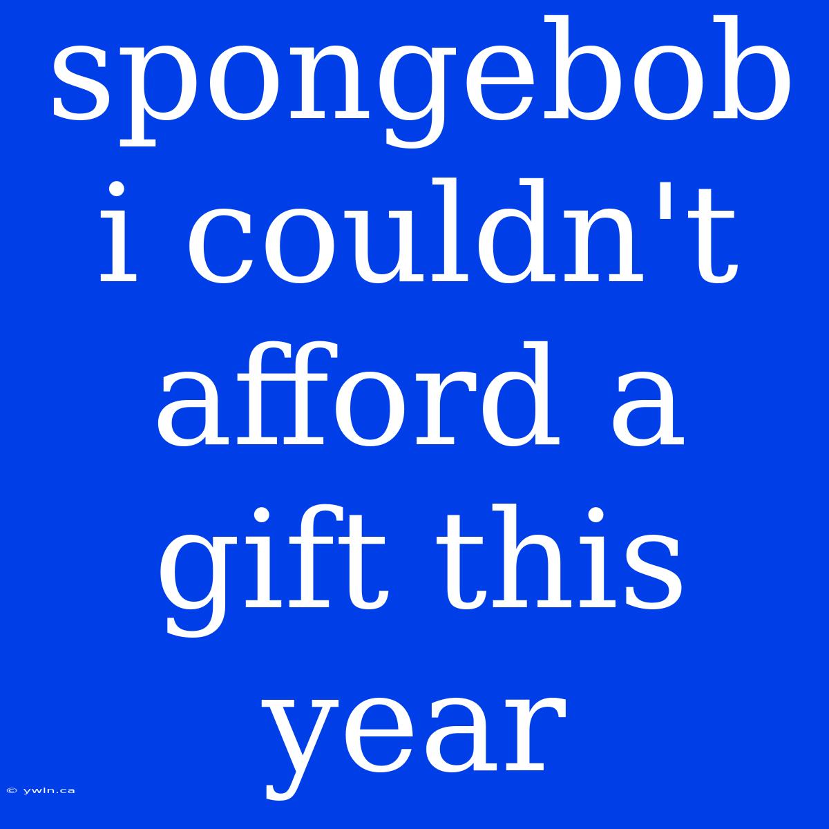 Spongebob I Couldn't Afford A Gift This Year