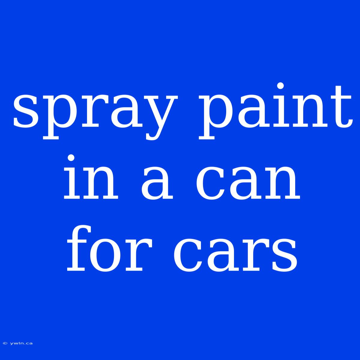 Spray Paint In A Can For Cars