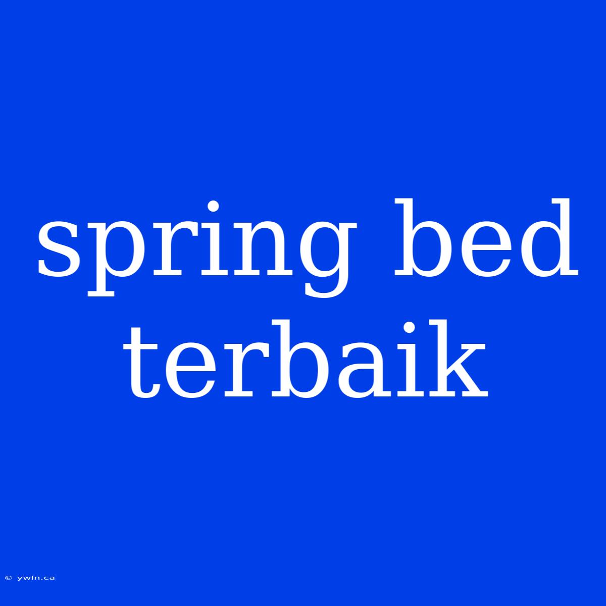 Spring Bed Terbaik