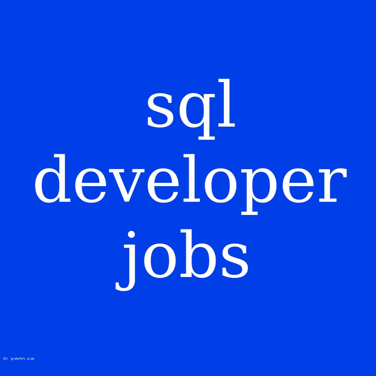 Sql Developer Jobs