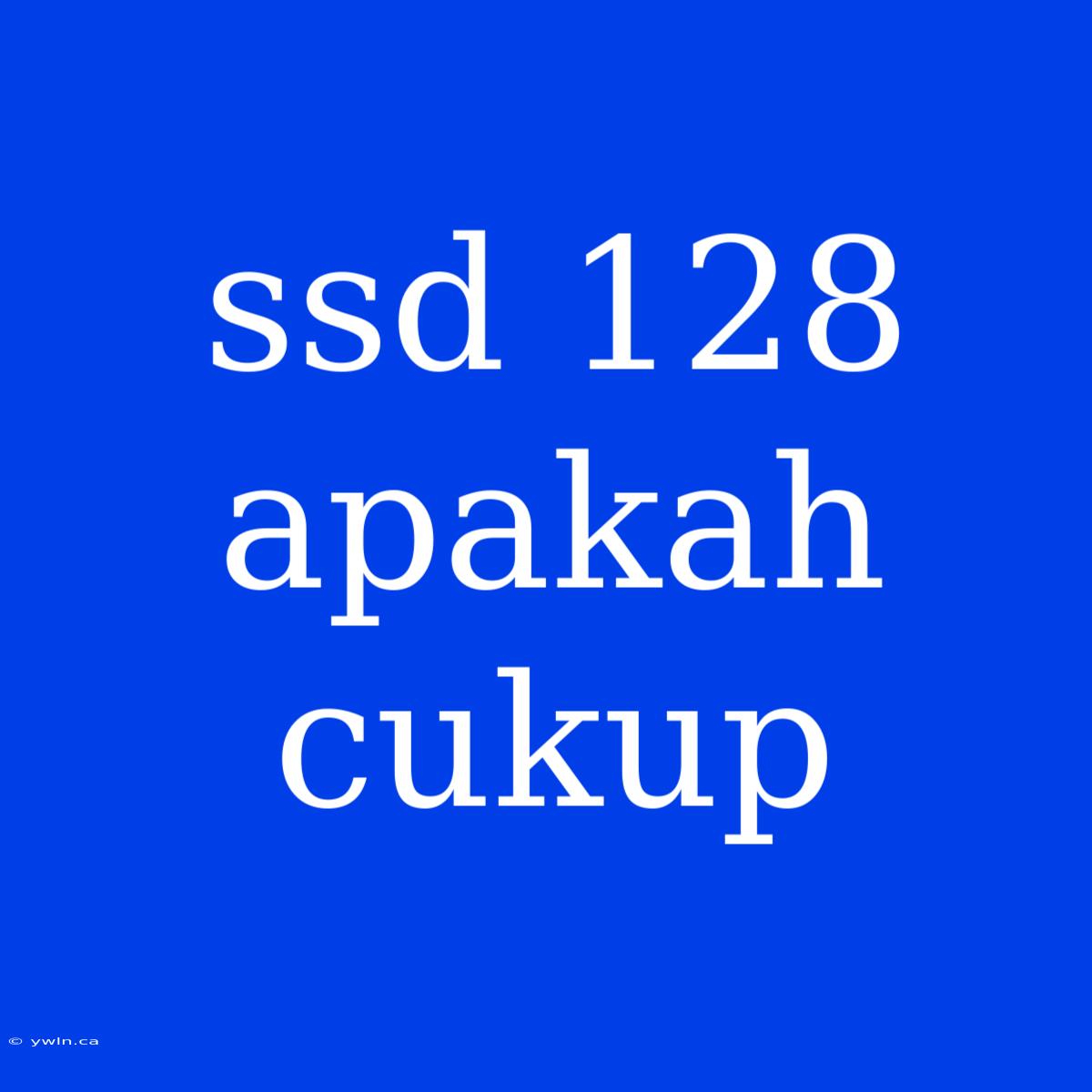 Ssd 128 Apakah Cukup