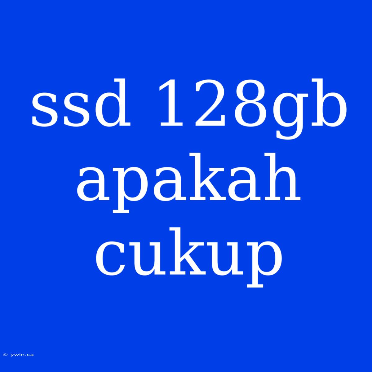 Ssd 128gb Apakah Cukup