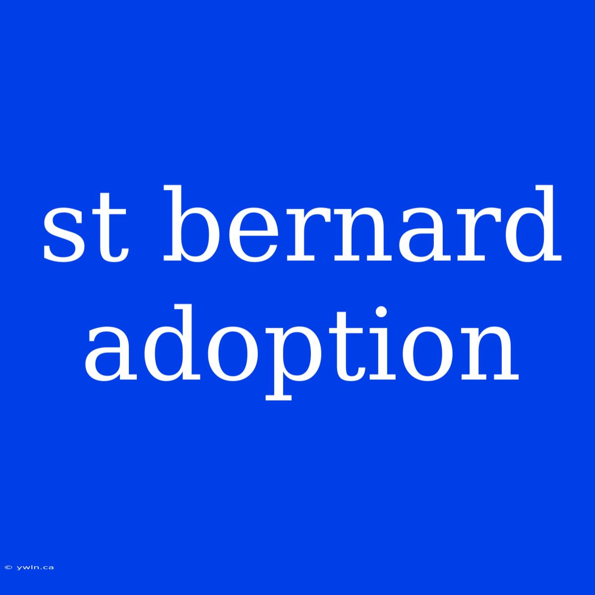 St Bernard Adoption