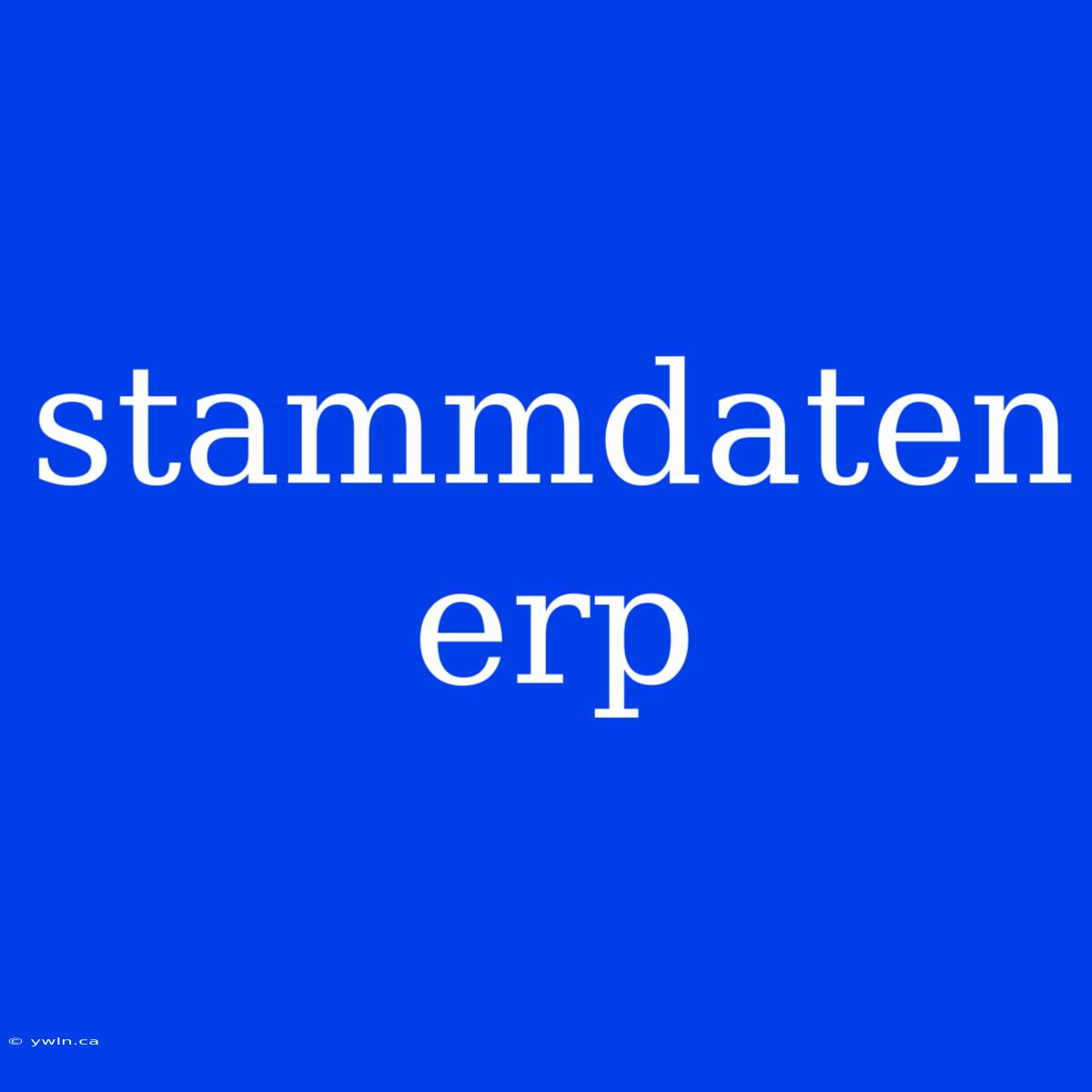 Stammdaten Erp