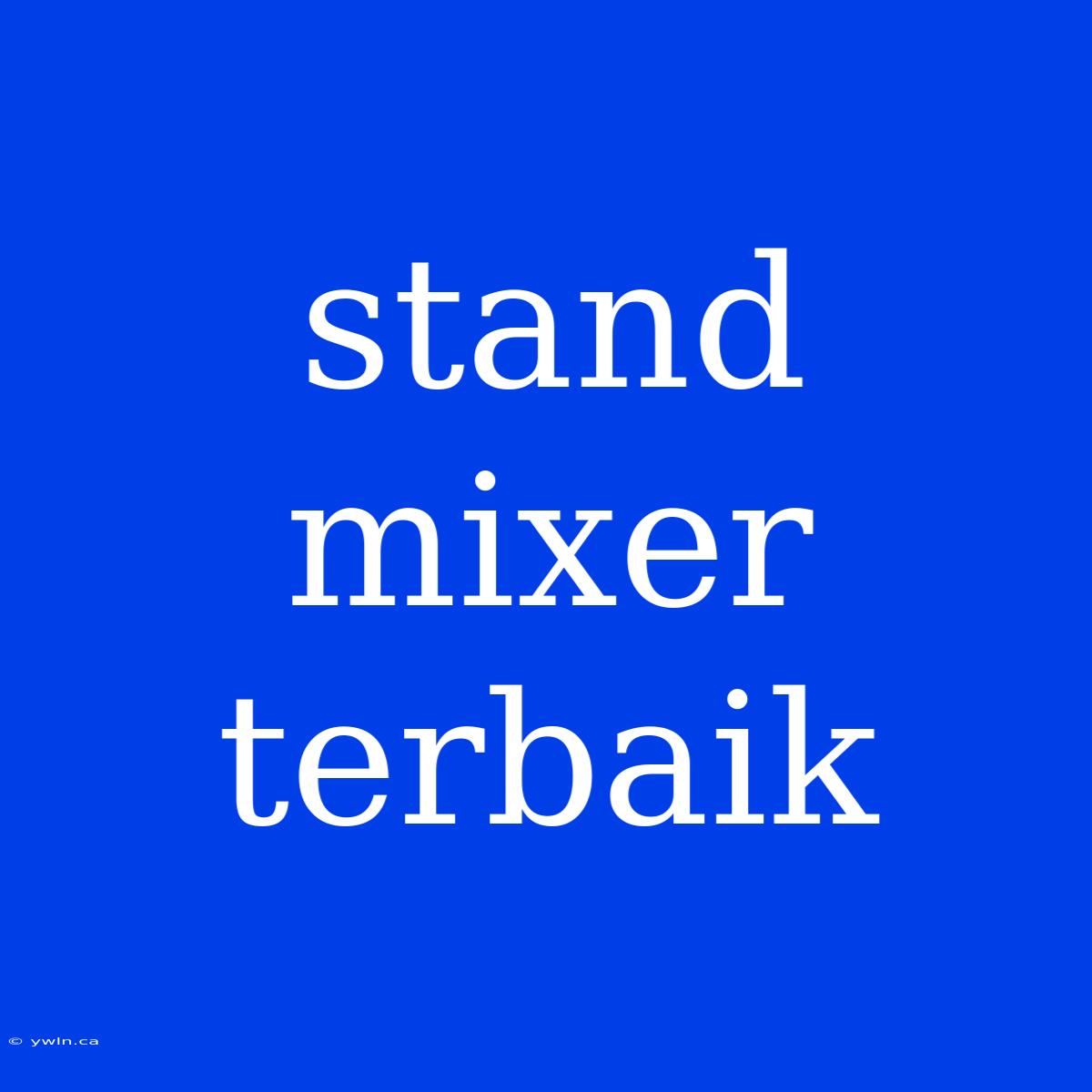 Stand Mixer Terbaik