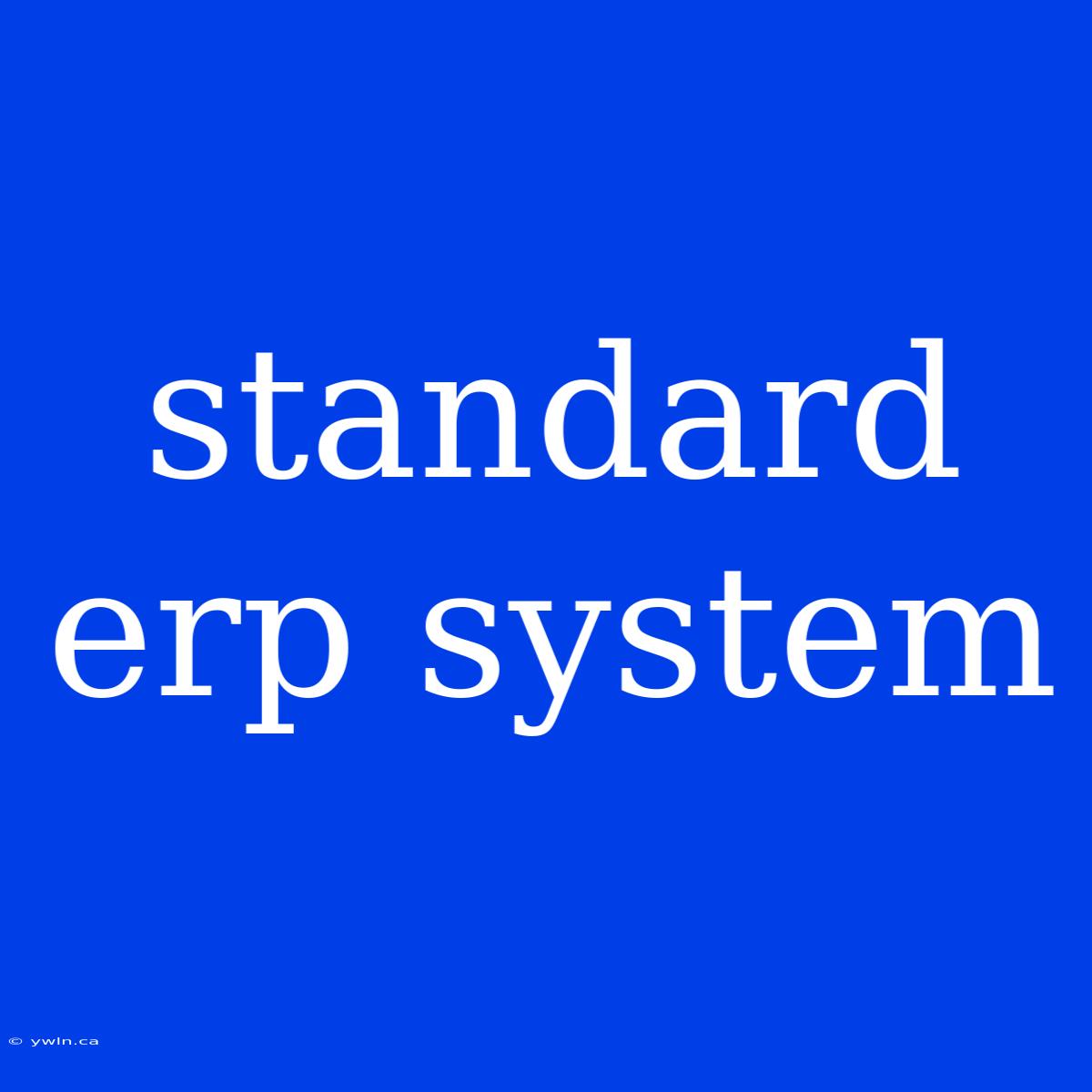 Standard Erp System