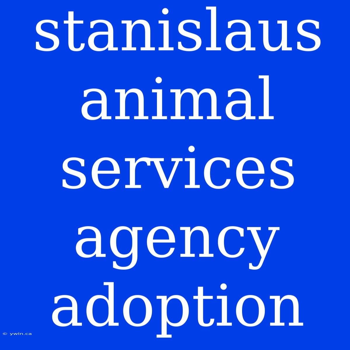 Stanislaus Animal Services Agency Adoption