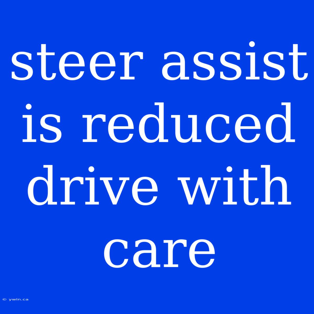 Steer Assist Is Reduced Drive With Care