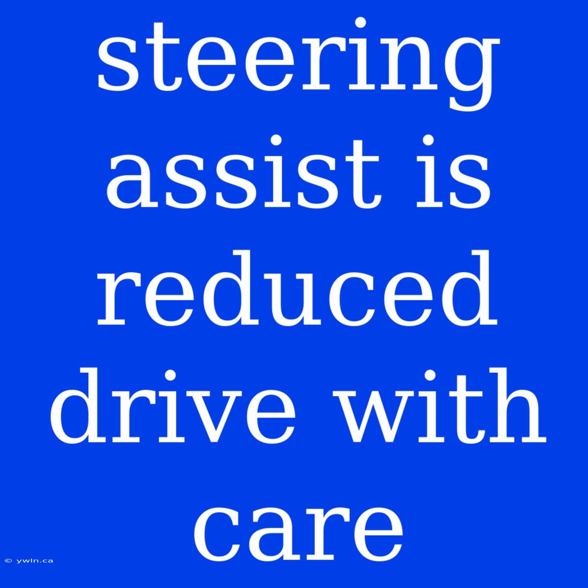 Steering Assist Is Reduced Drive With Care