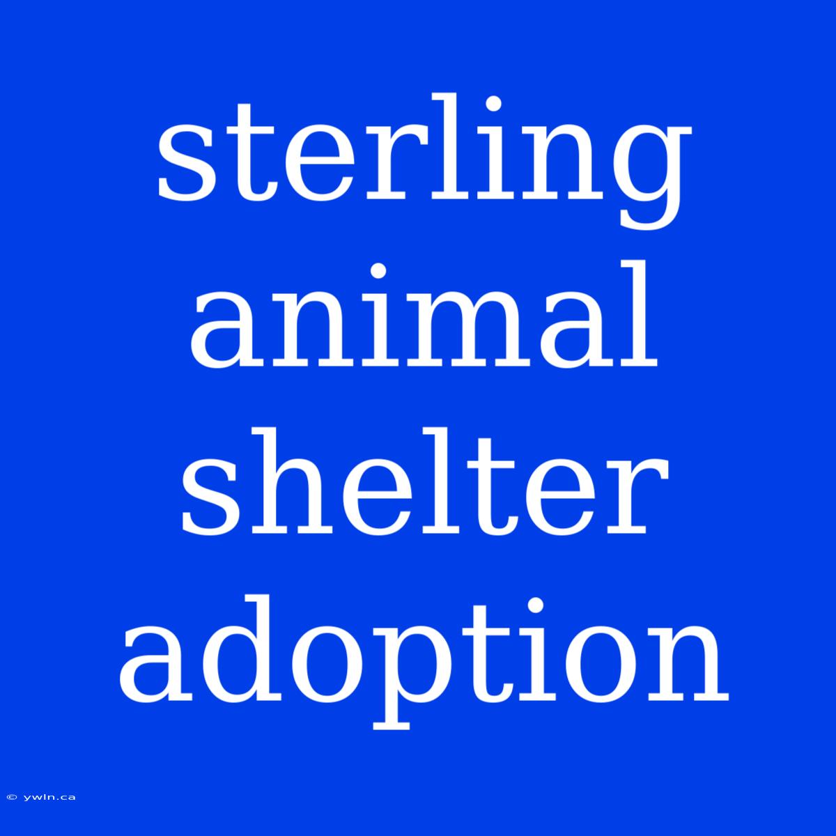 Sterling Animal Shelter Adoption