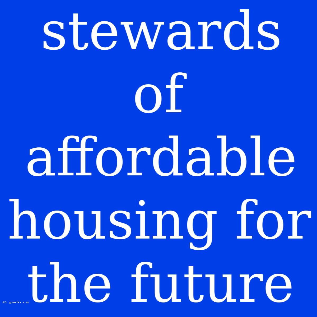 Stewards Of Affordable Housing For The Future