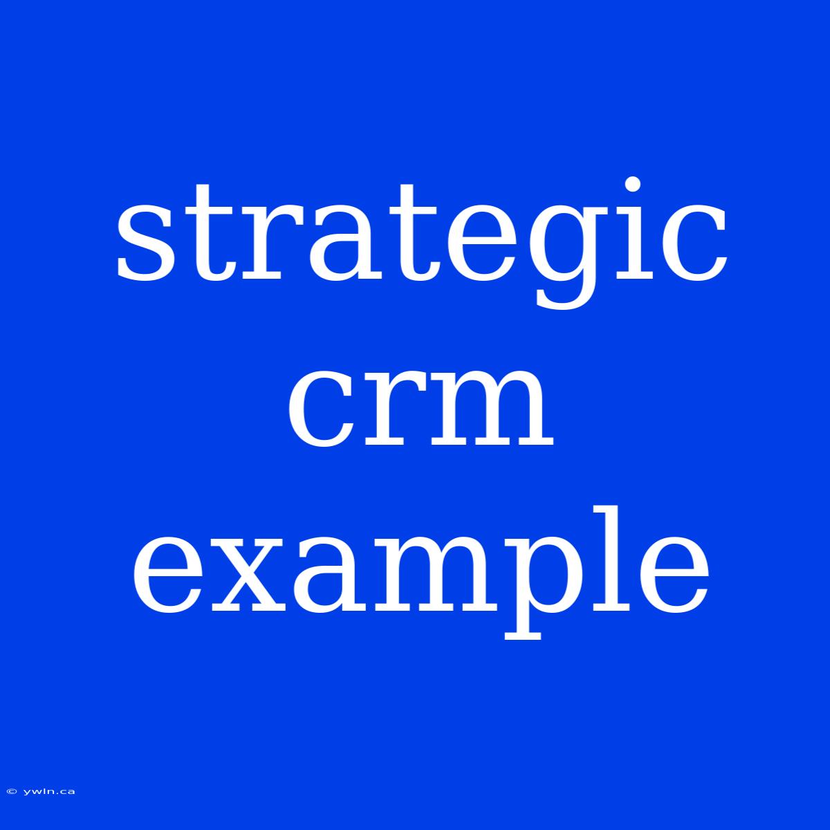 Strategic Crm Example