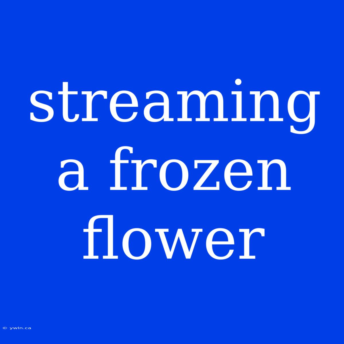 Streaming A Frozen Flower