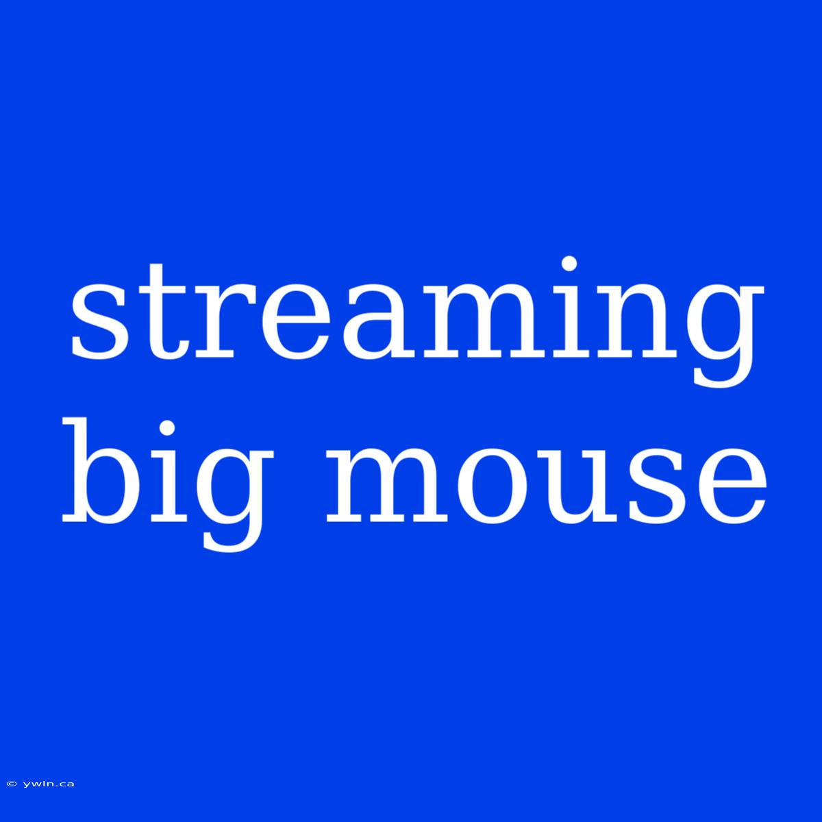 Streaming Big Mouse