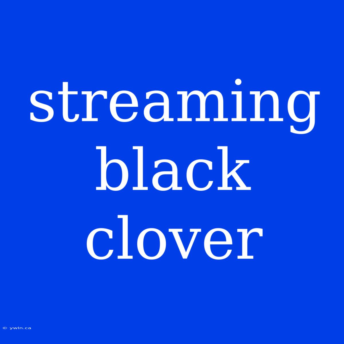 Streaming Black Clover