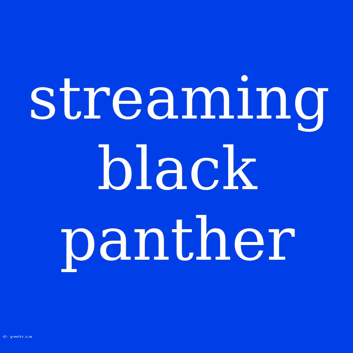 Streaming Black Panther