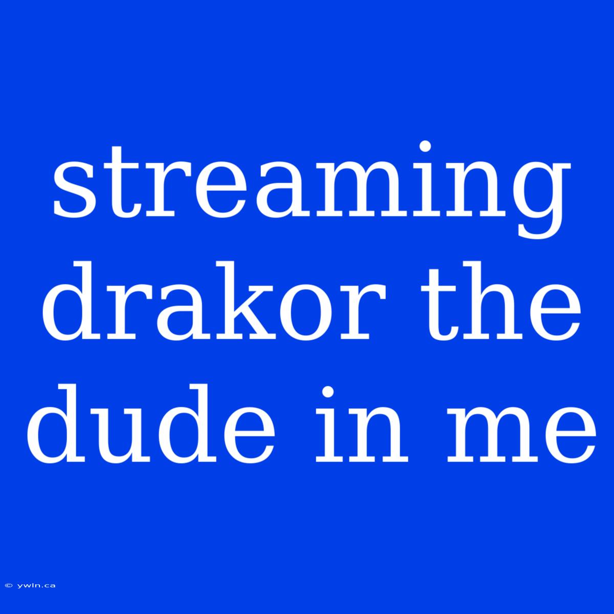 Streaming Drakor The Dude In Me