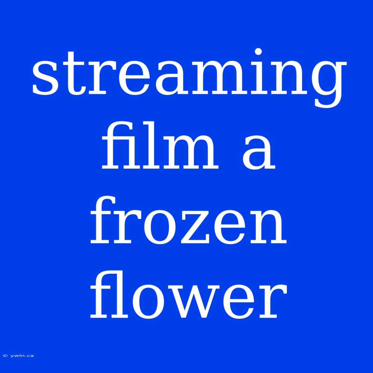 Streaming Film A Frozen Flower