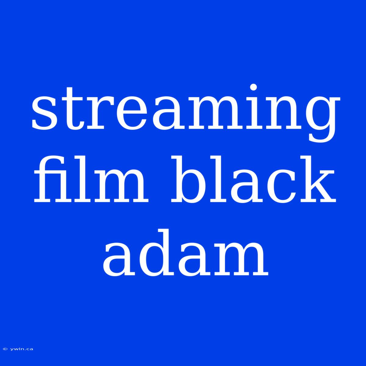 Streaming Film Black Adam