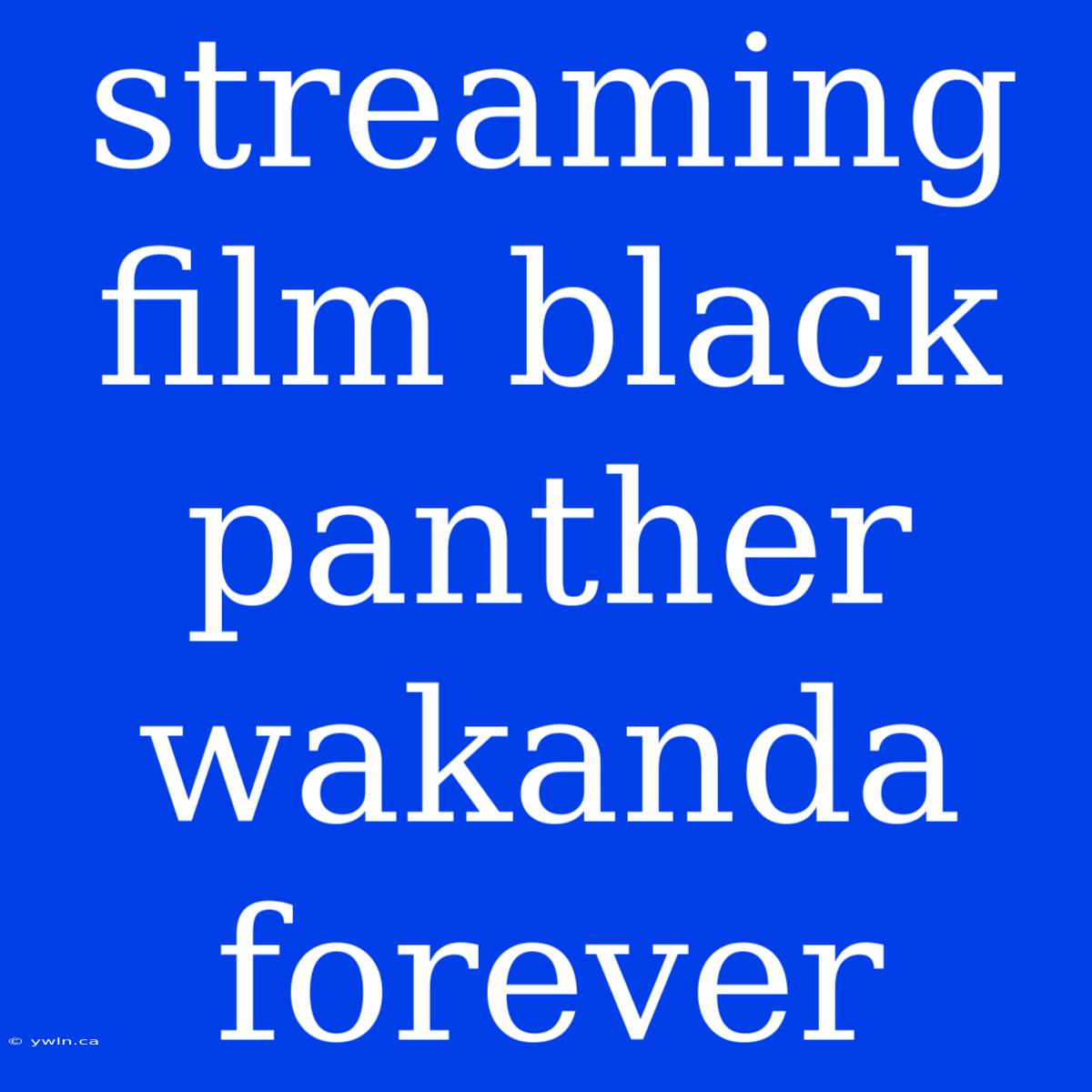 Streaming Film Black Panther Wakanda Forever