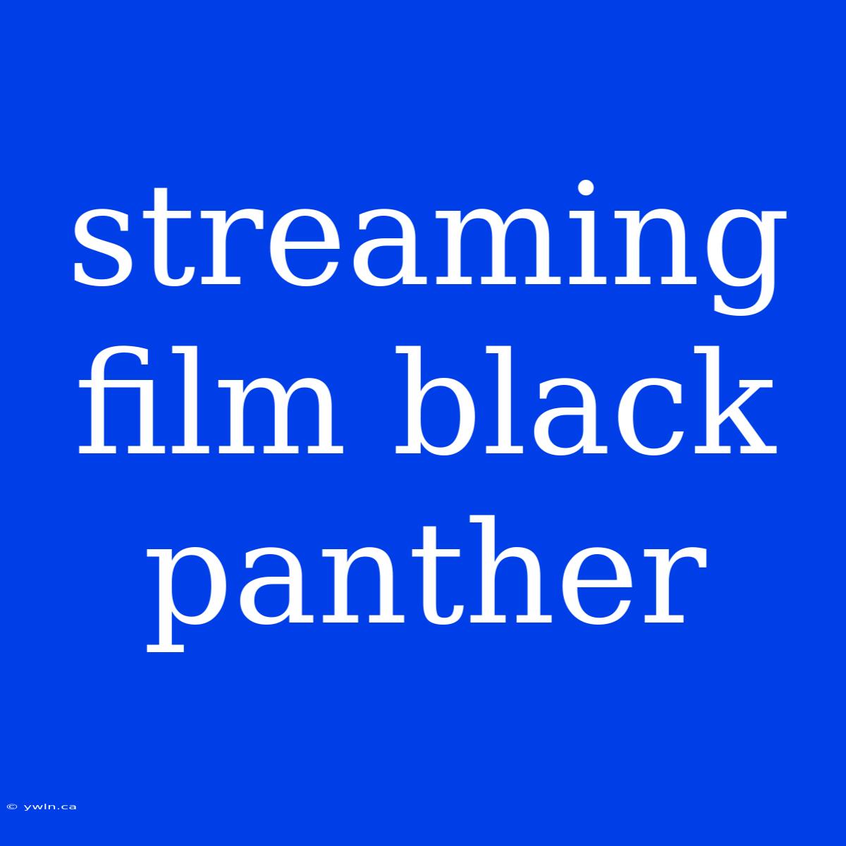 Streaming Film Black Panther