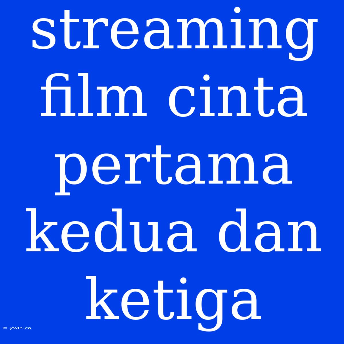 Streaming Film Cinta Pertama Kedua Dan Ketiga