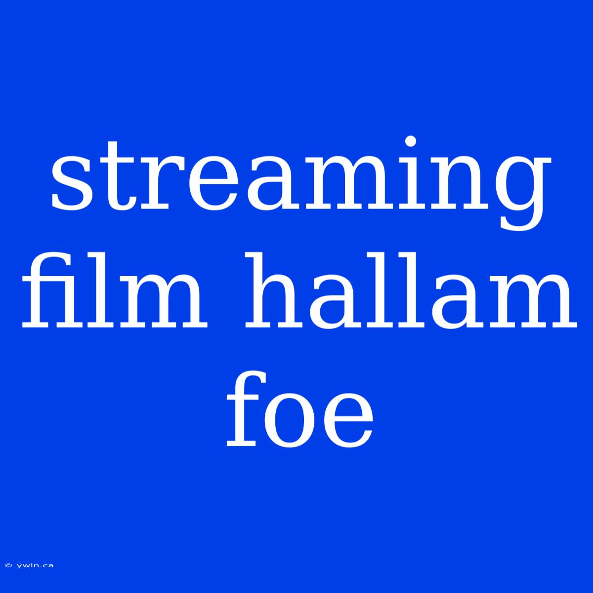 Streaming Film Hallam Foe