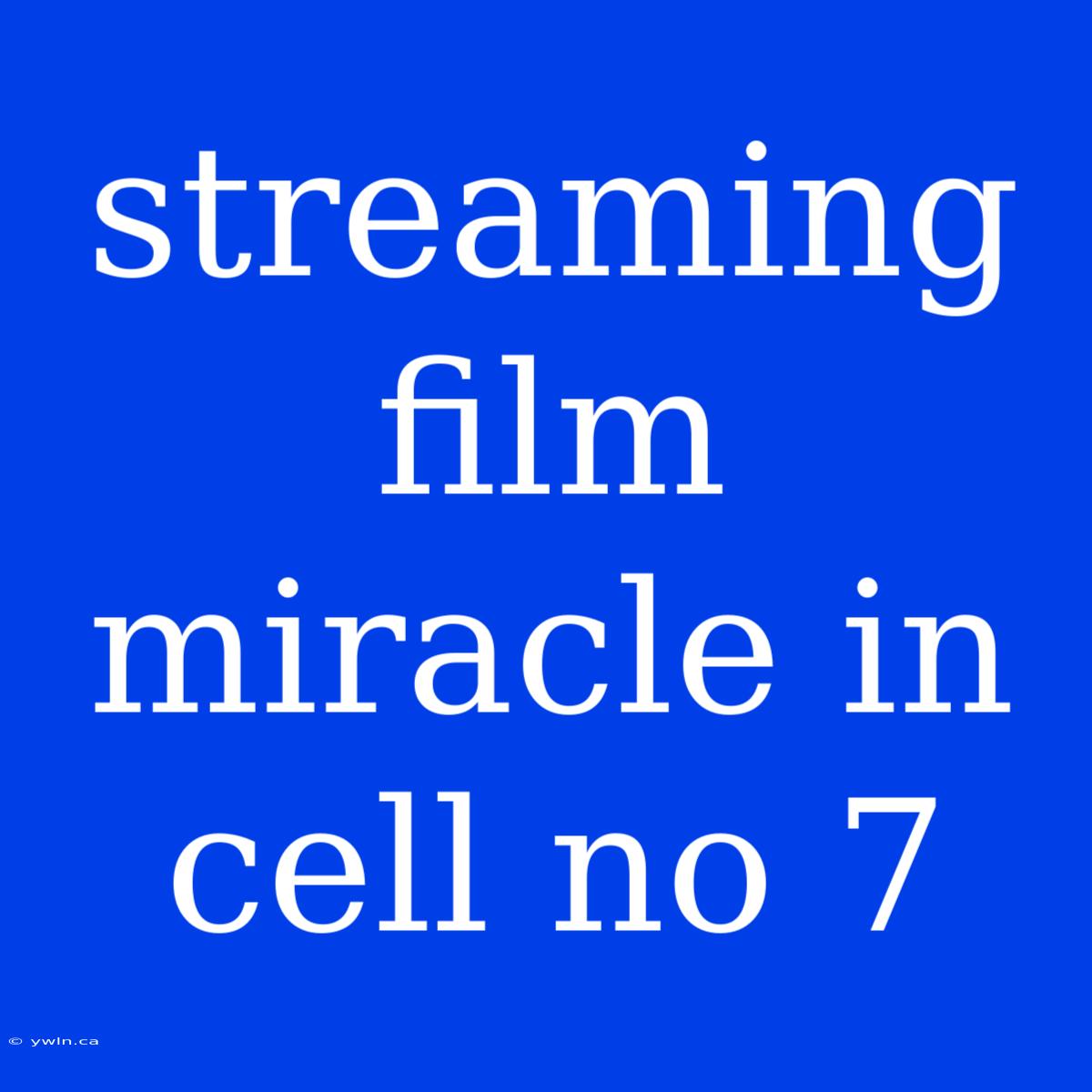 Streaming Film Miracle In Cell No 7