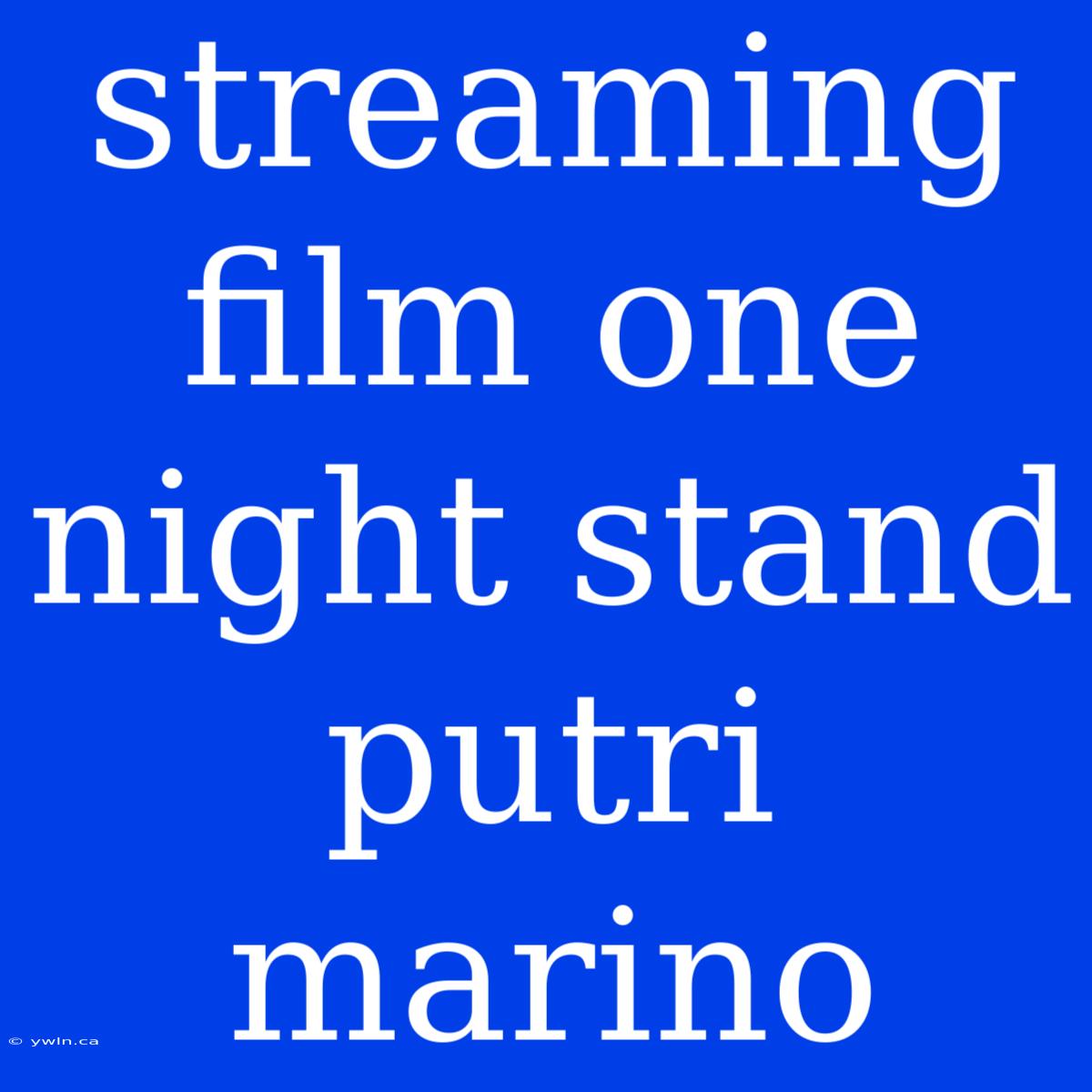 Streaming Film One Night Stand Putri Marino