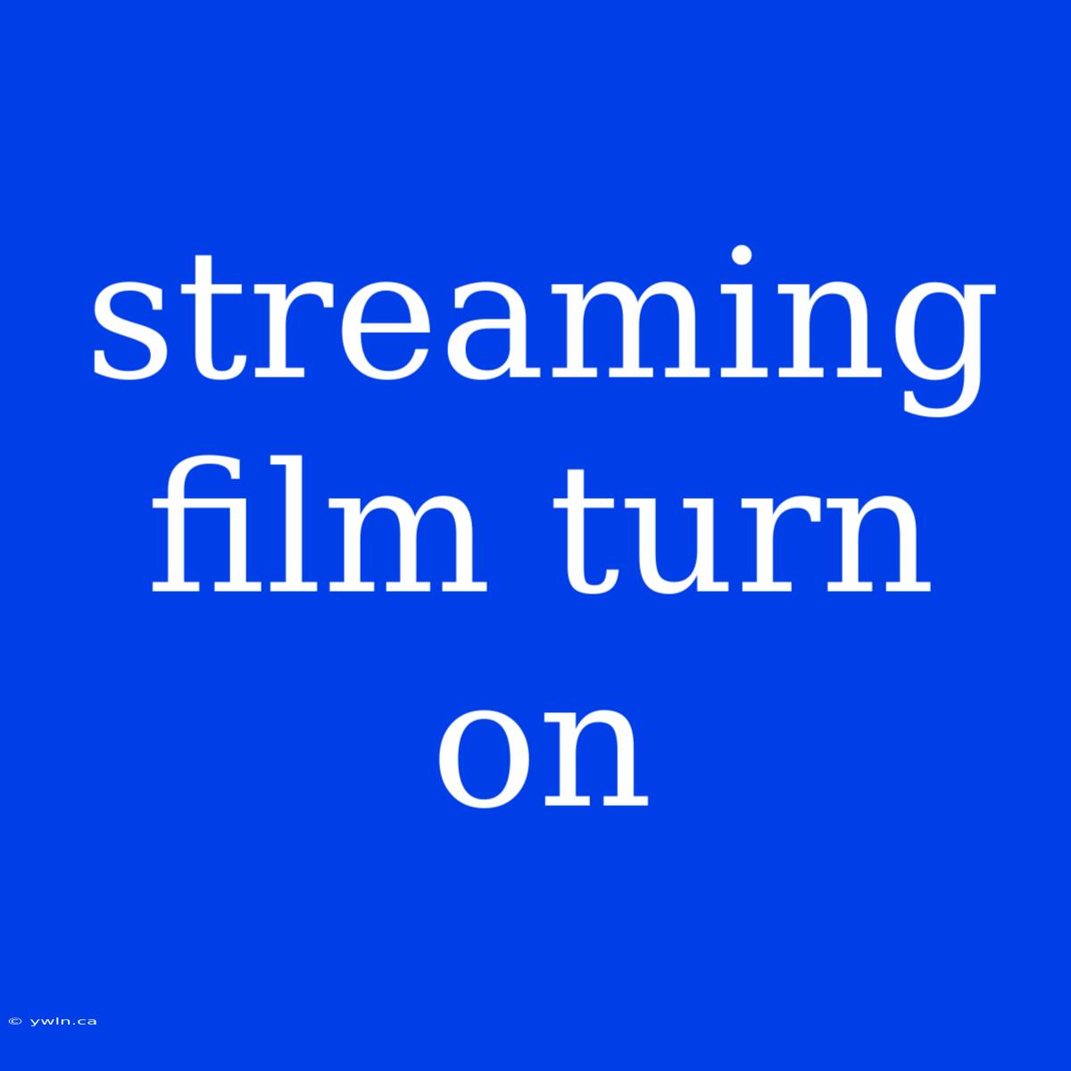 Streaming Film Turn On