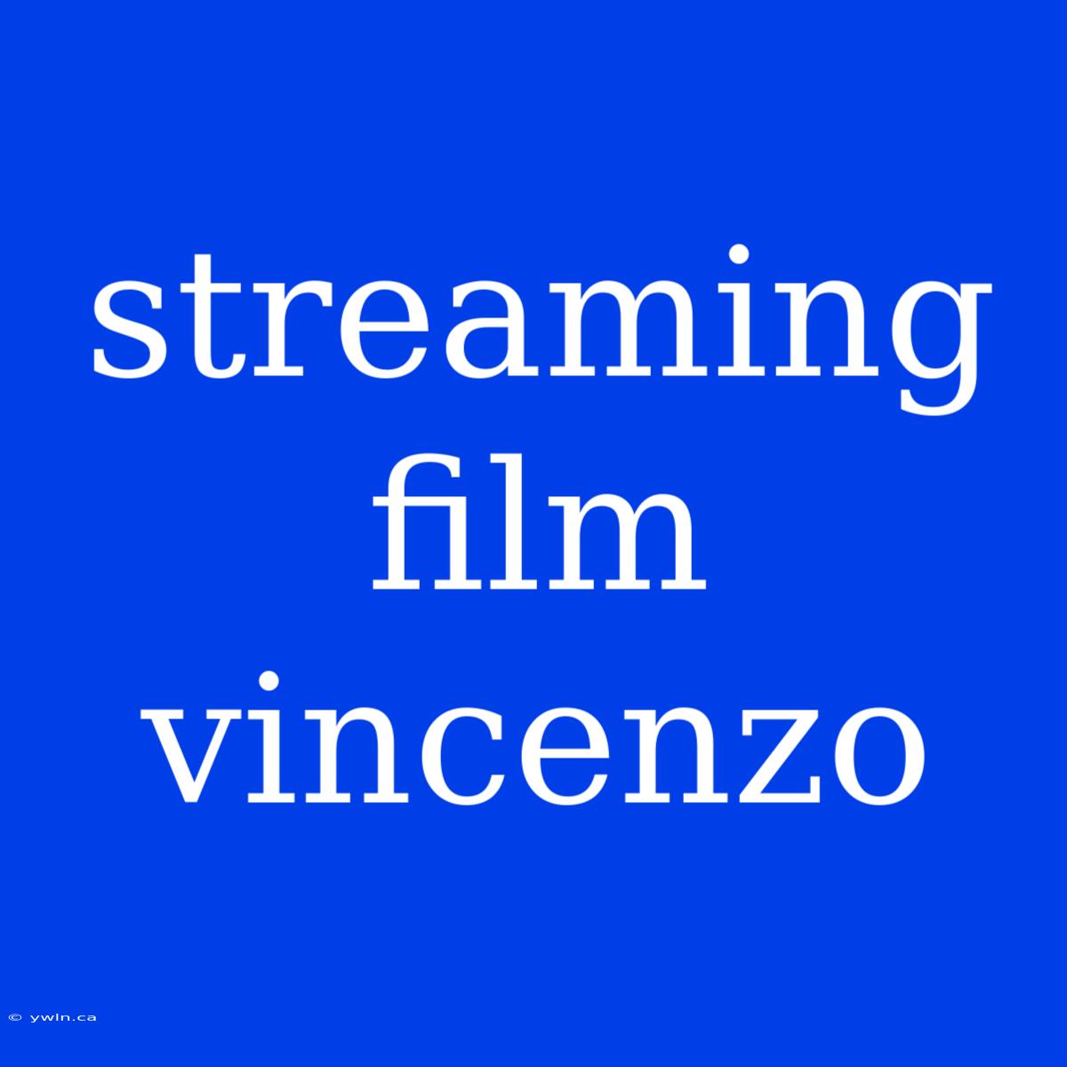 Streaming Film Vincenzo