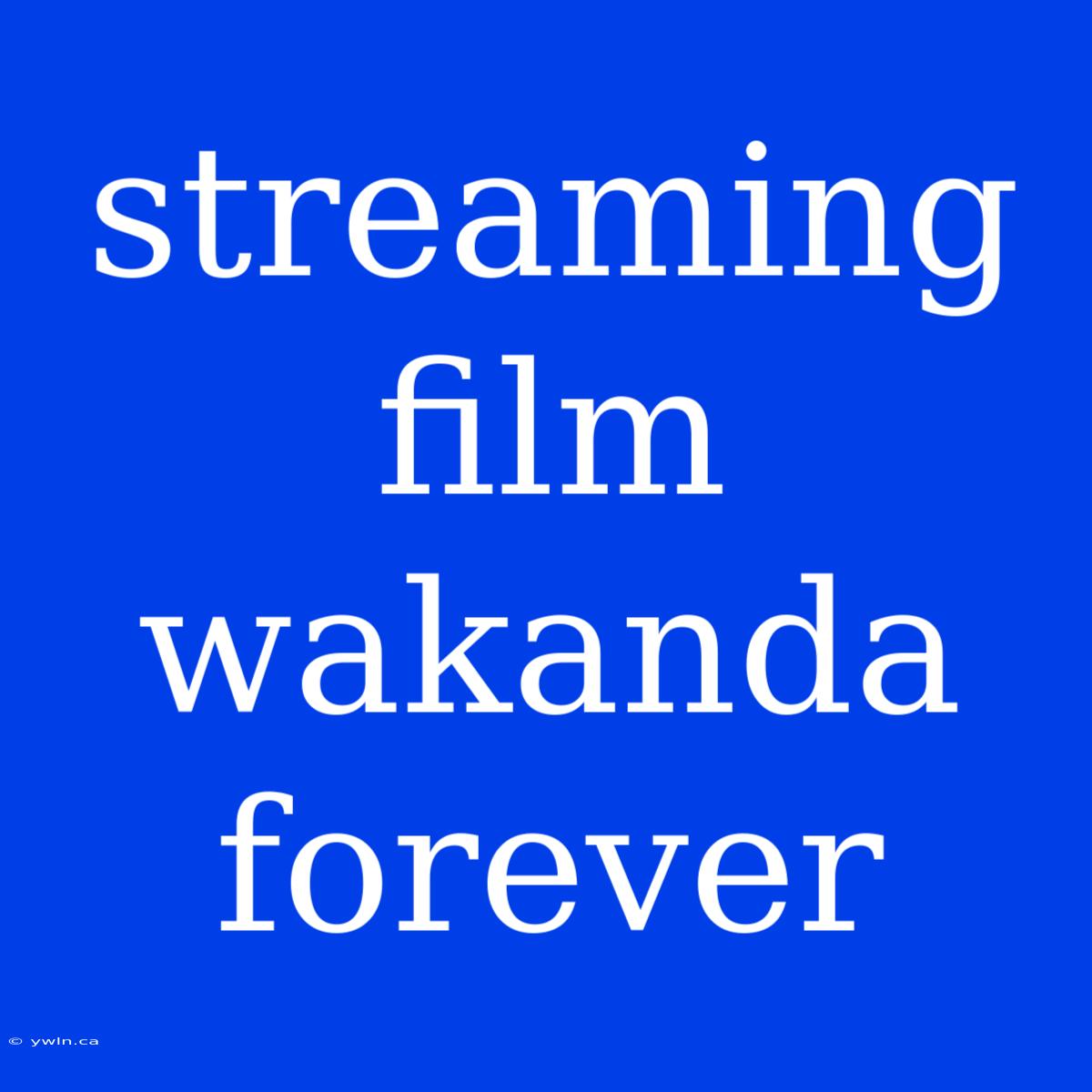 Streaming Film Wakanda Forever