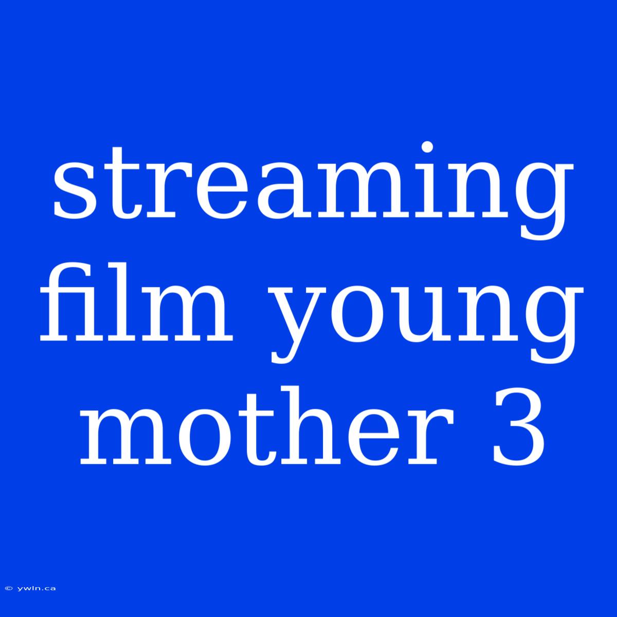 Streaming Film Young Mother 3