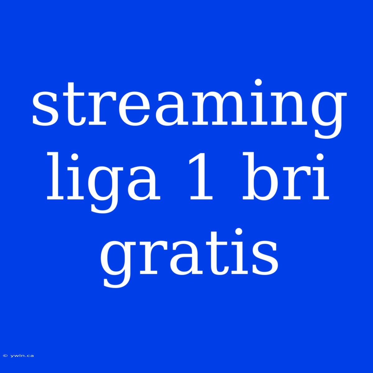 Streaming Liga 1 Bri Gratis