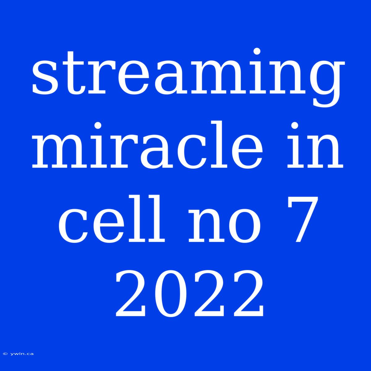 Streaming Miracle In Cell No 7 2022