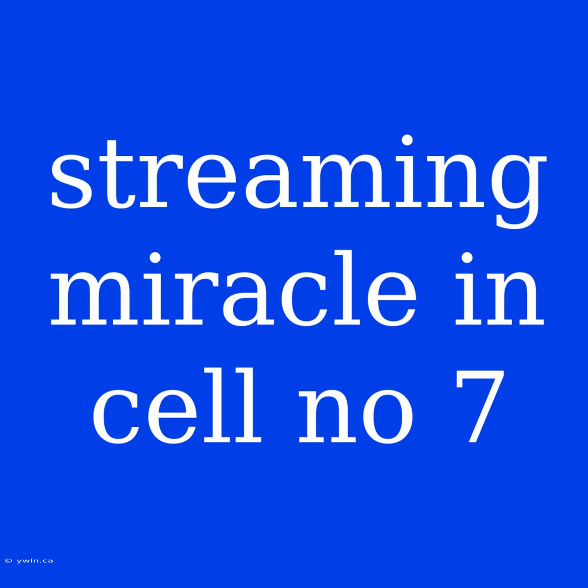 Streaming Miracle In Cell No 7