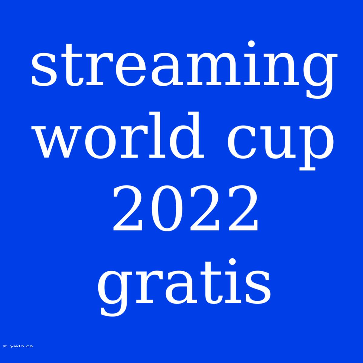 Streaming World Cup 2022 Gratis