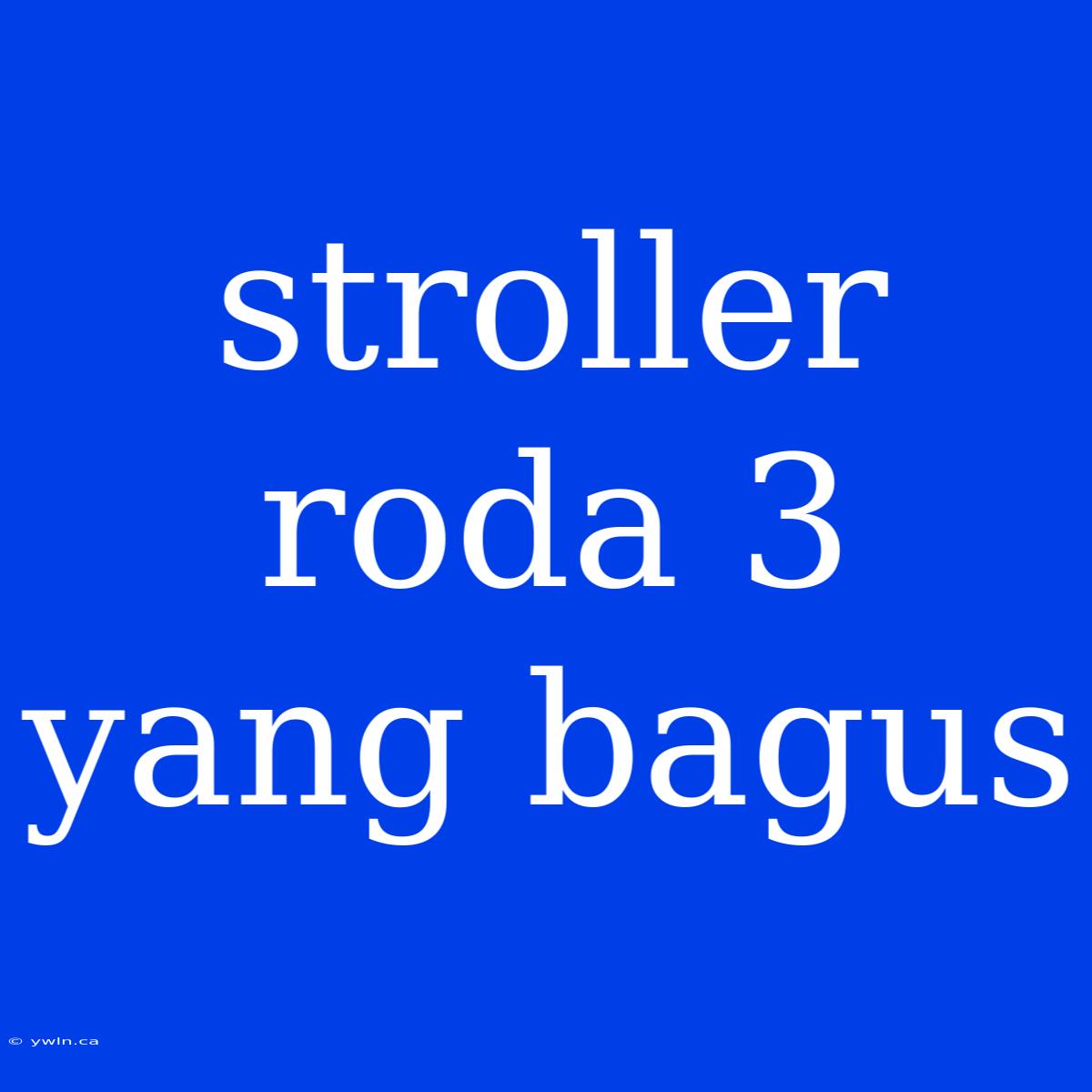 Stroller Roda 3 Yang Bagus