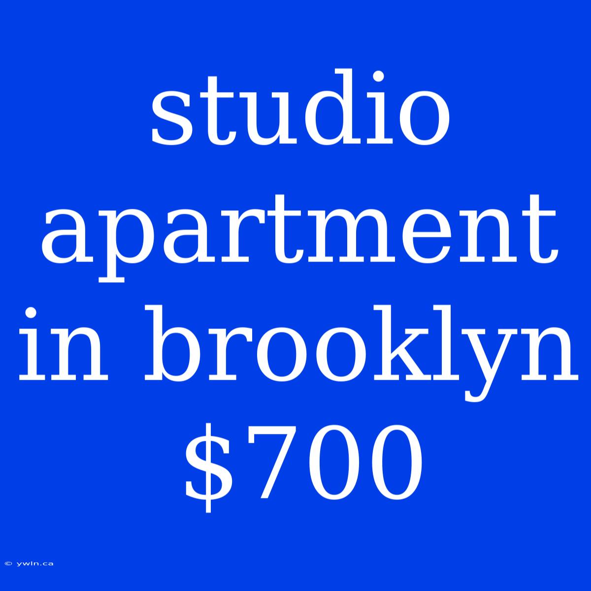 Studio Apartment In Brooklyn $700