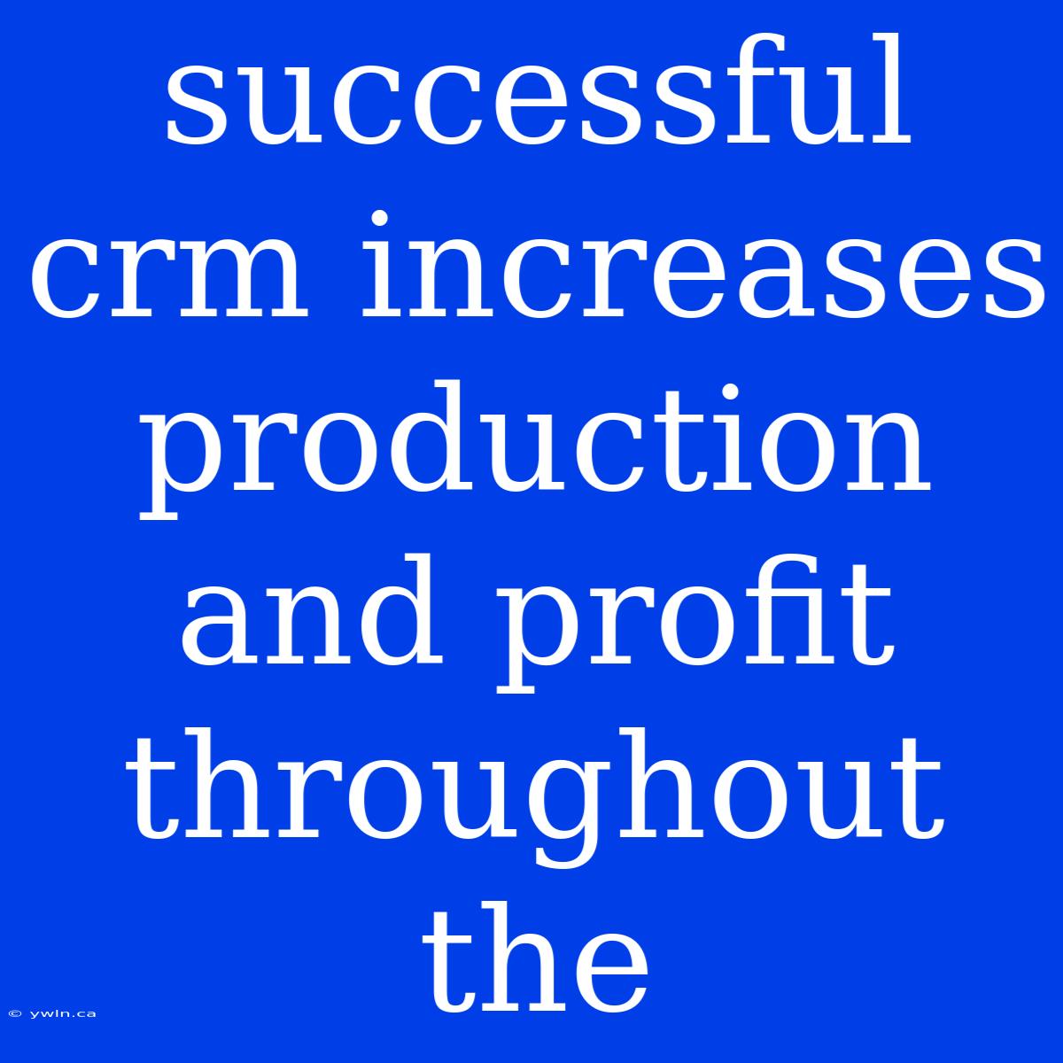 Successful Crm Increases Production And Profit Throughout The