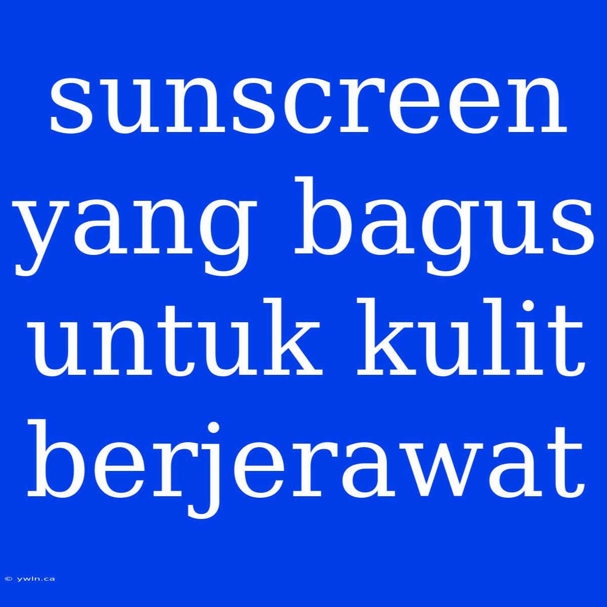 Sunscreen Yang Bagus Untuk Kulit Berjerawat