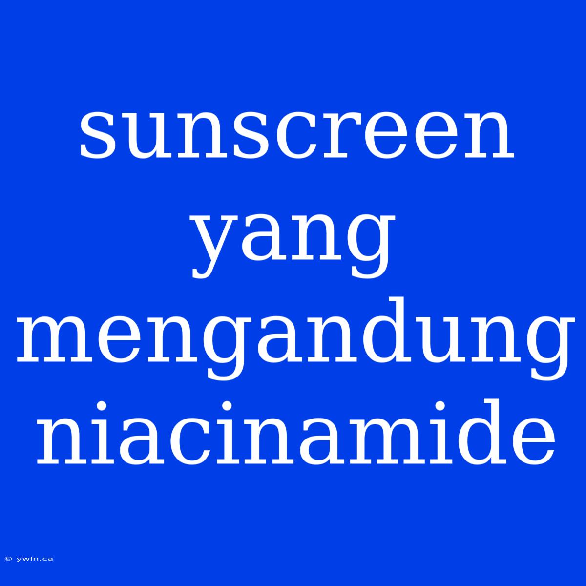 Sunscreen Yang Mengandung Niacinamide