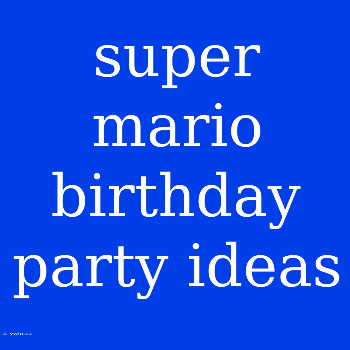 Super Mario Birthday Party Ideas