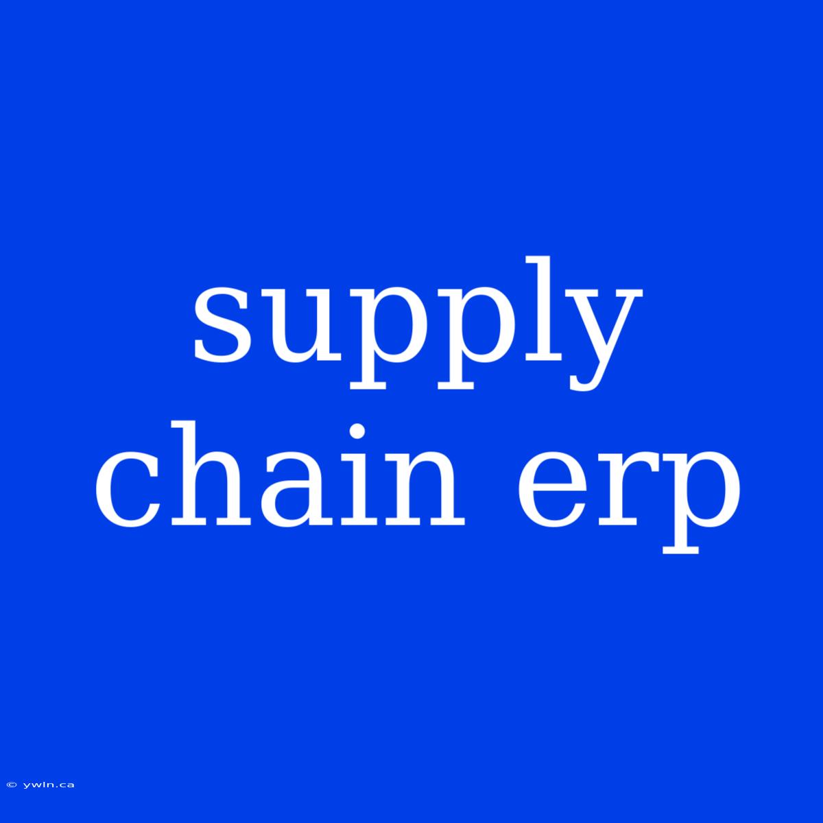 Supply Chain Erp