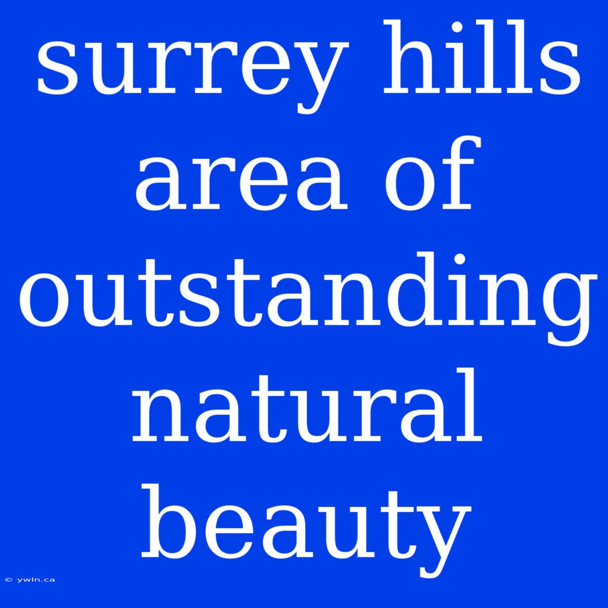 Surrey Hills Area Of Outstanding Natural Beauty